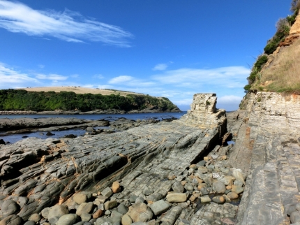 catlins (27)